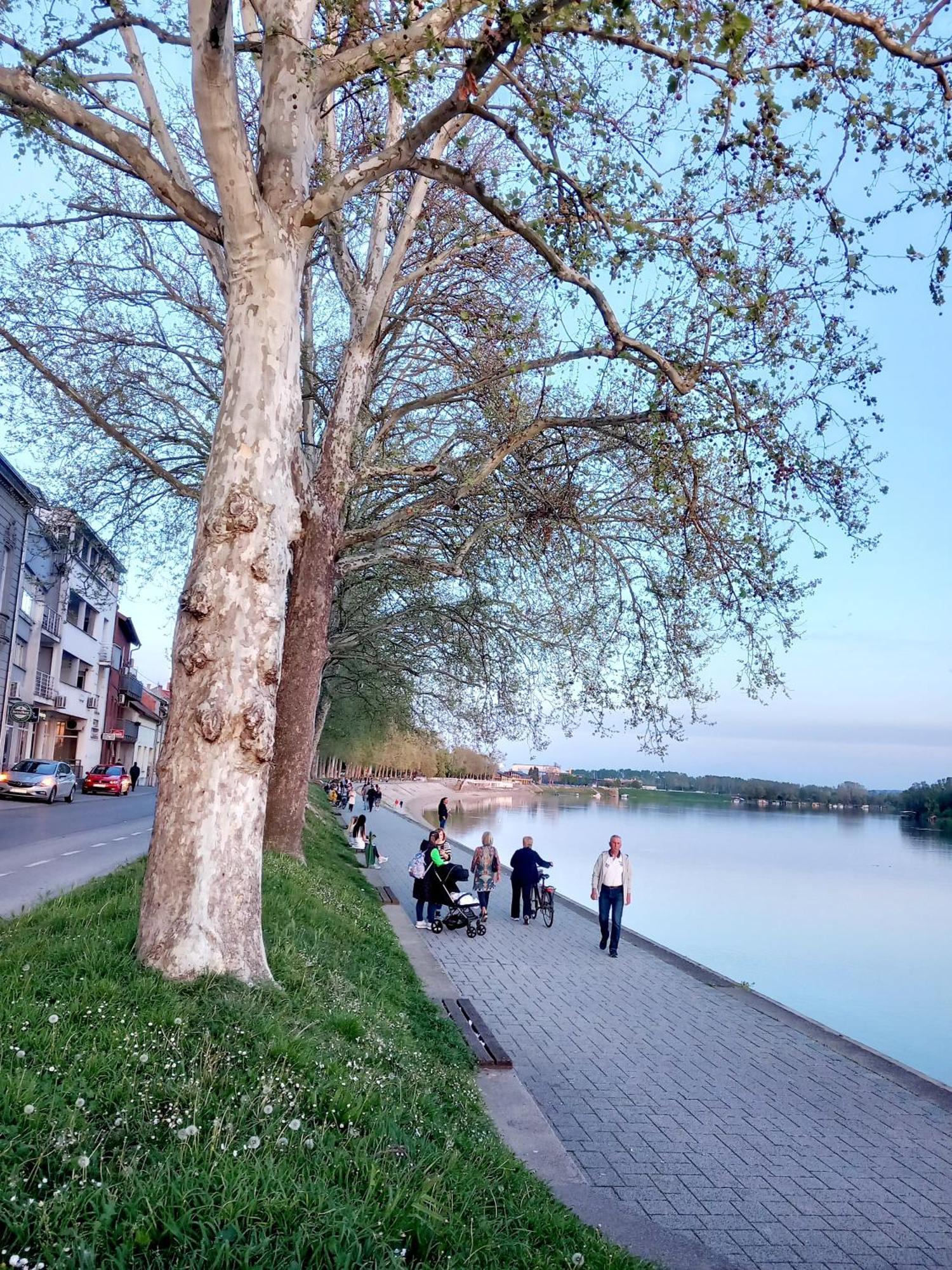 Apartment Centar Slavonski Brod Exteriér fotografie